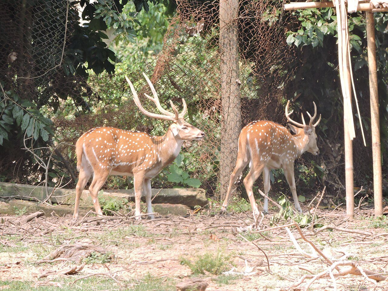 Sepahijala Wildlife Sanctuary