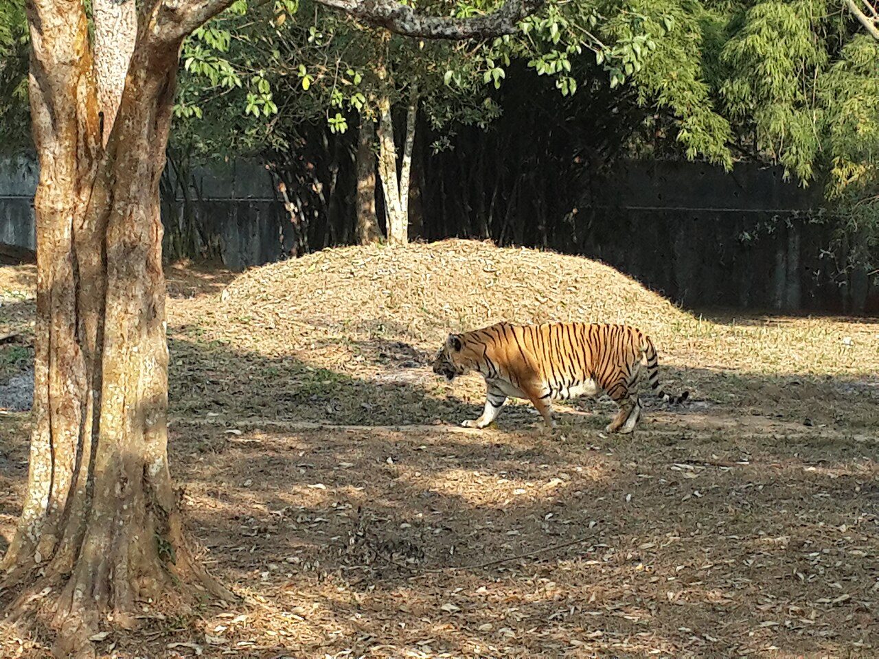 Sepahijala Wildlife Sanctuary