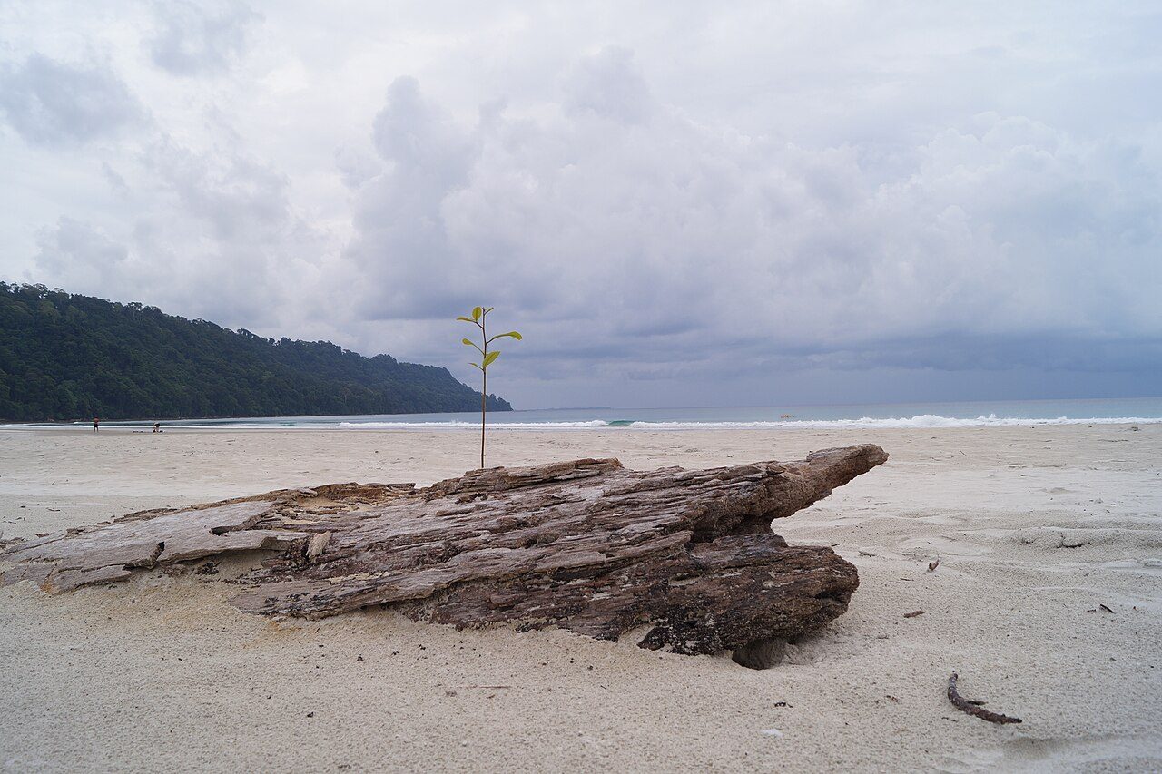 The Andamans in 5 Days: Port Blair, Havelock and Neil