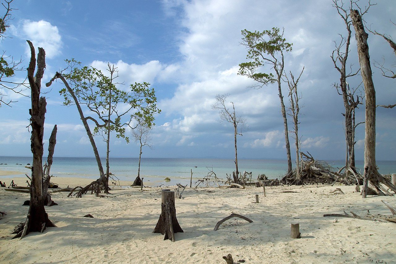 Elephant Beach