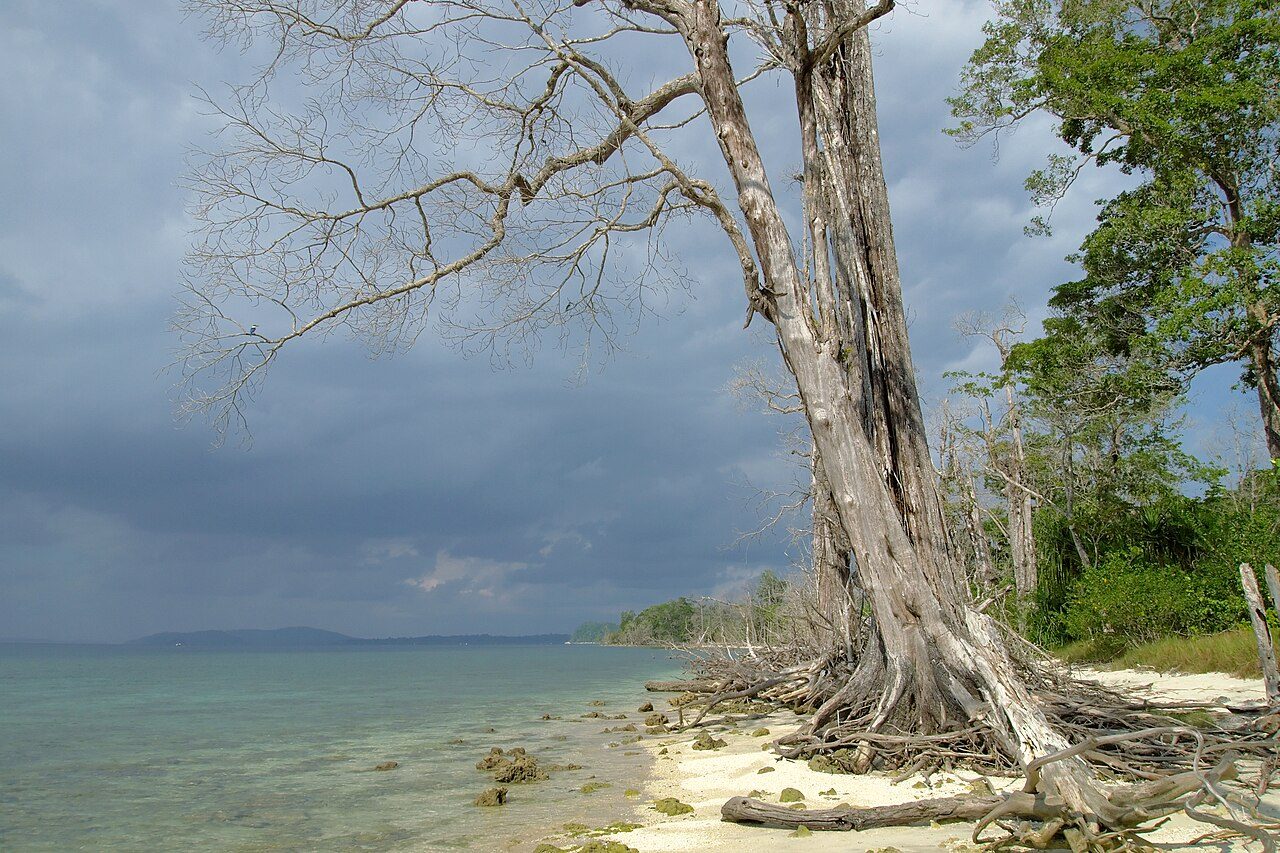 Elephant Beach