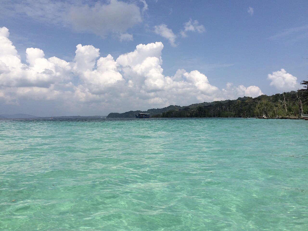 Elephant Beach