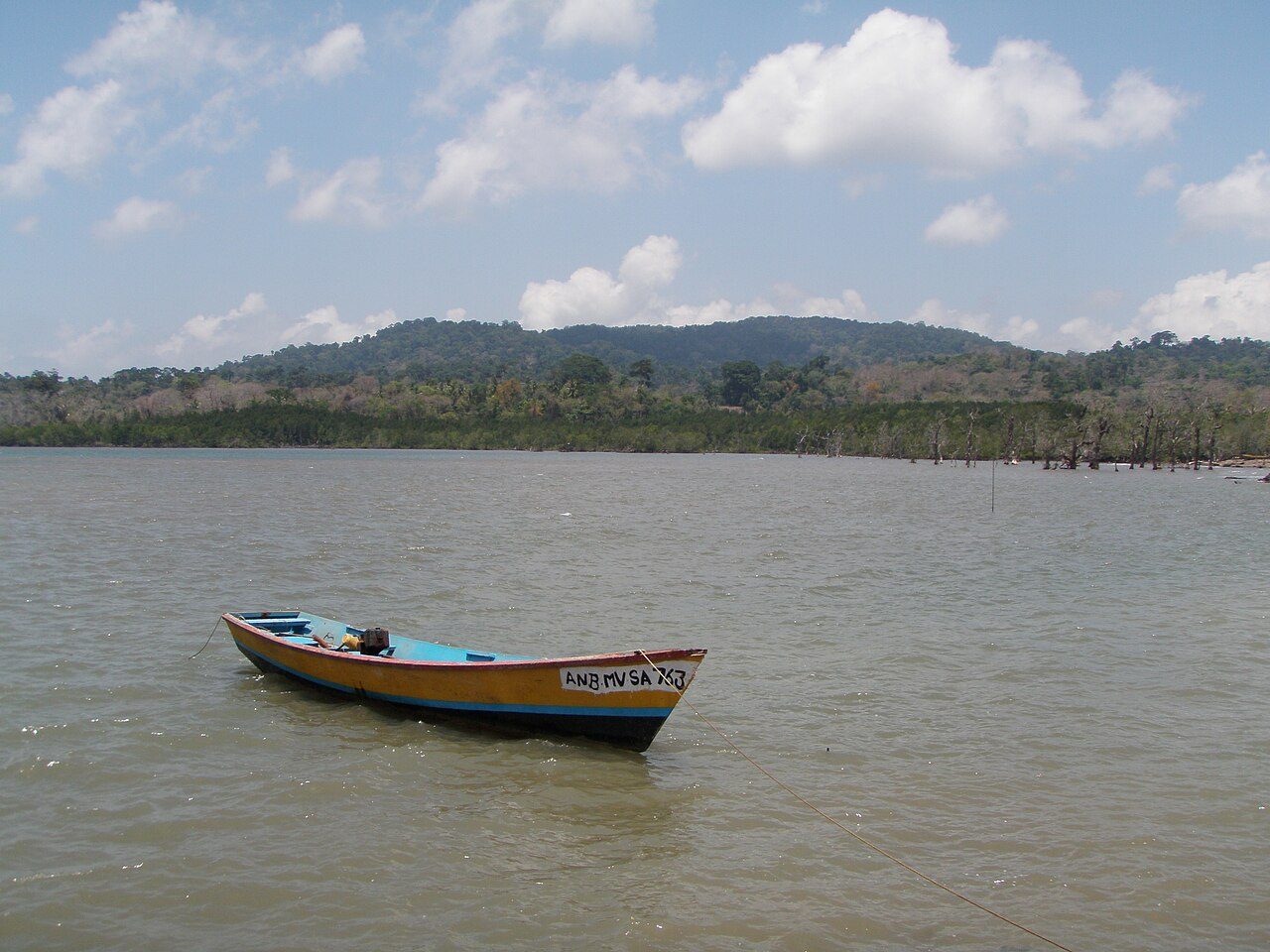 Chidiya Tapu