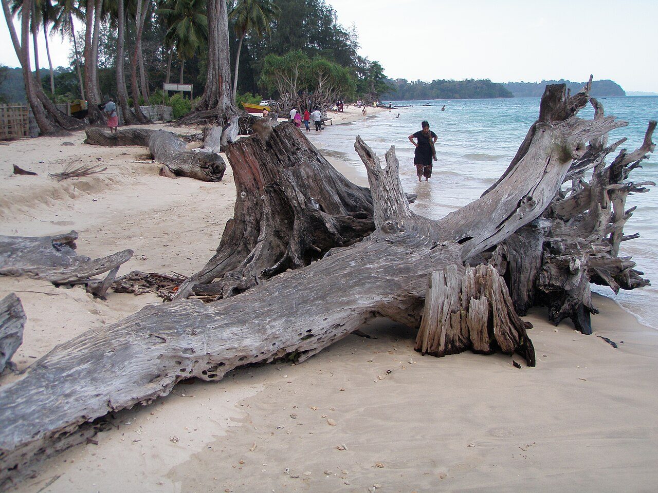Wandoor Beach