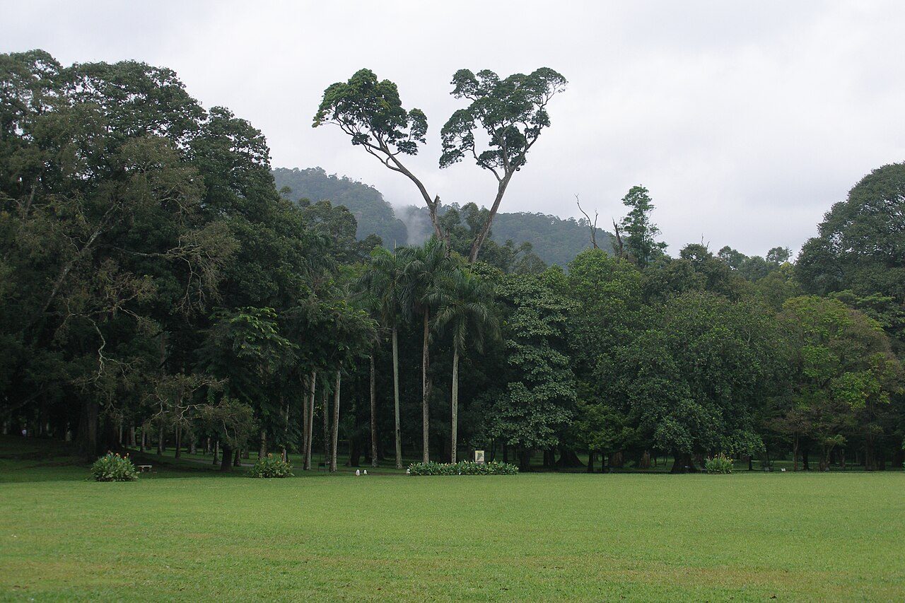 Royal Botanic Gardens Peradeniya