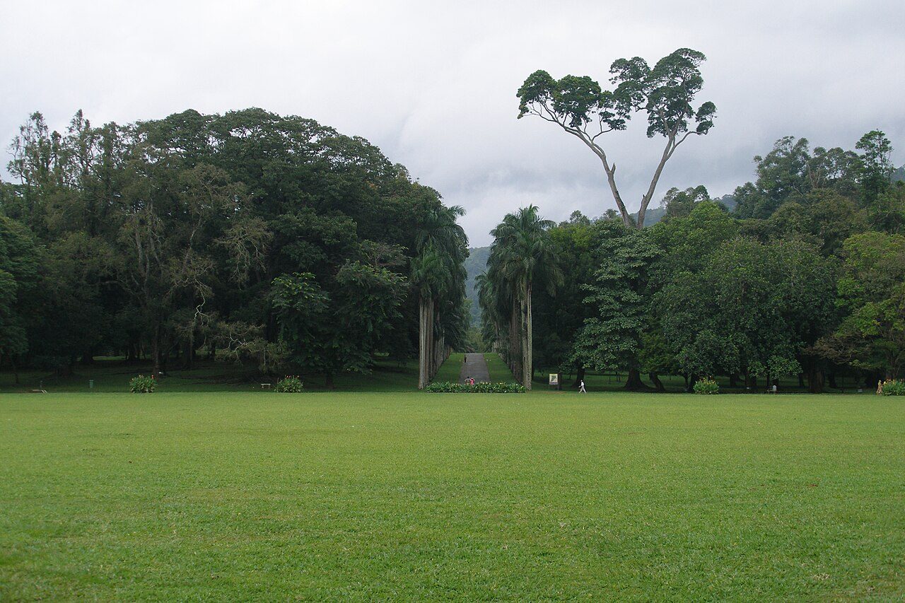 Royal Botanic Gardens Peradeniya