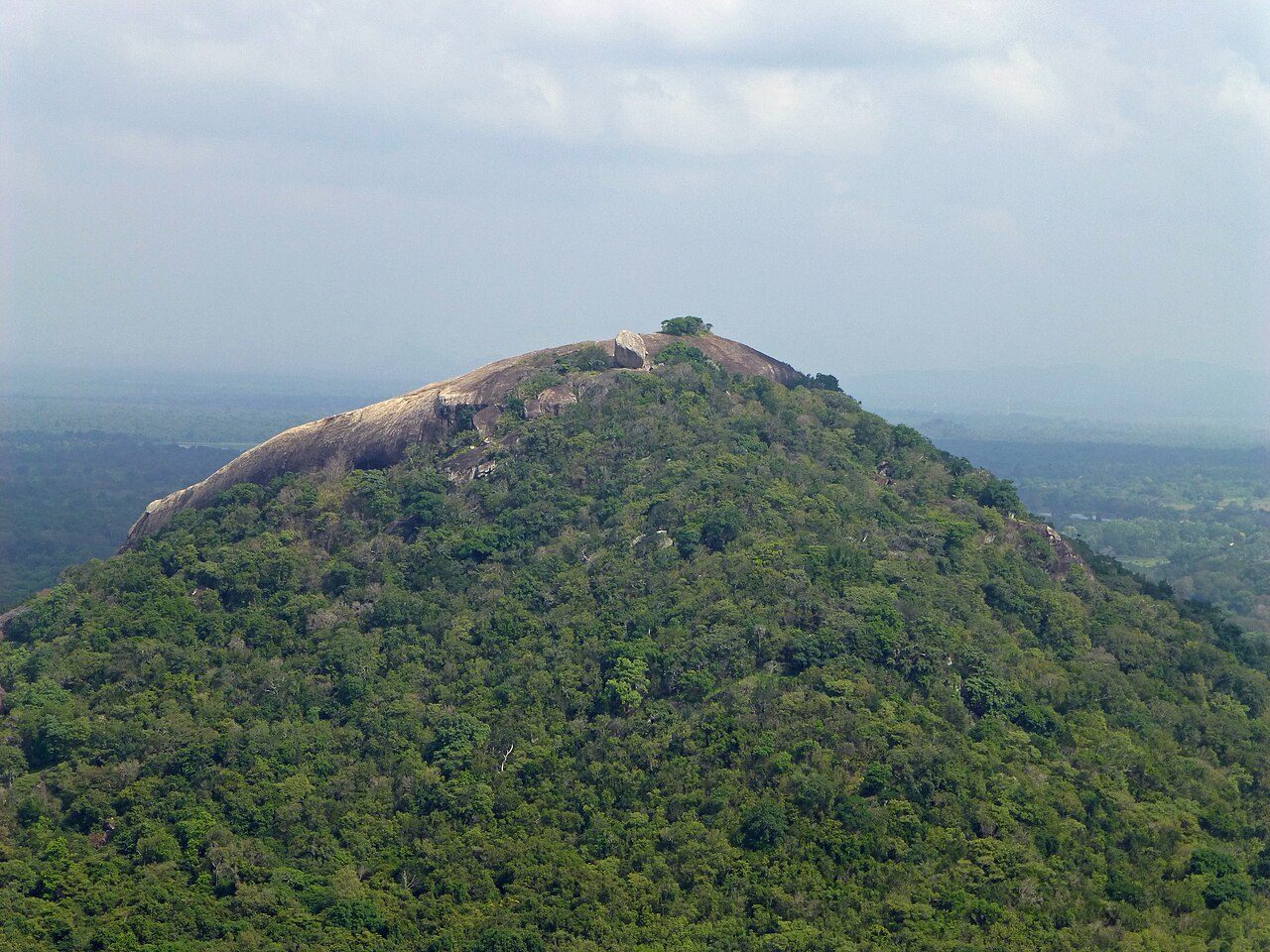Pidurangala Rock