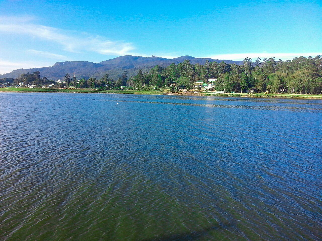 Gregory Lake