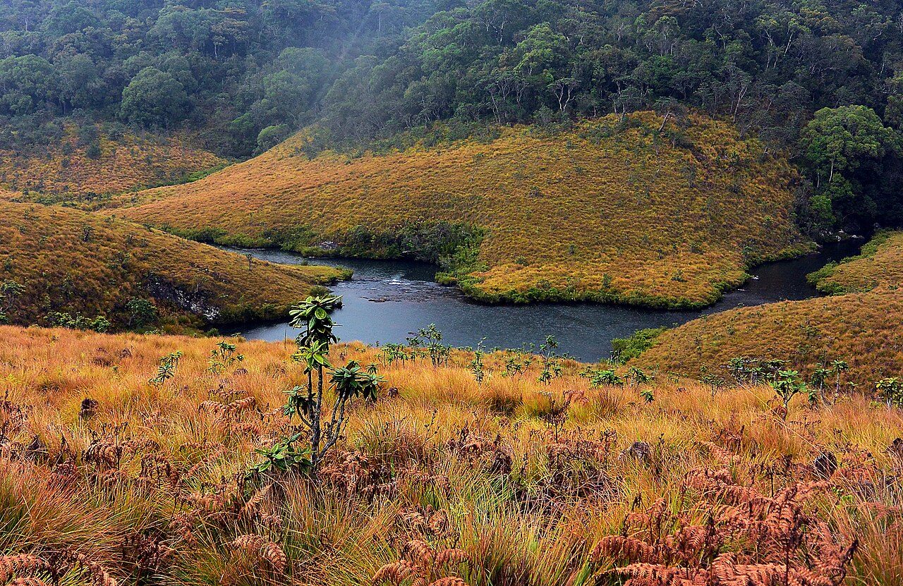 Horton Plains National Park