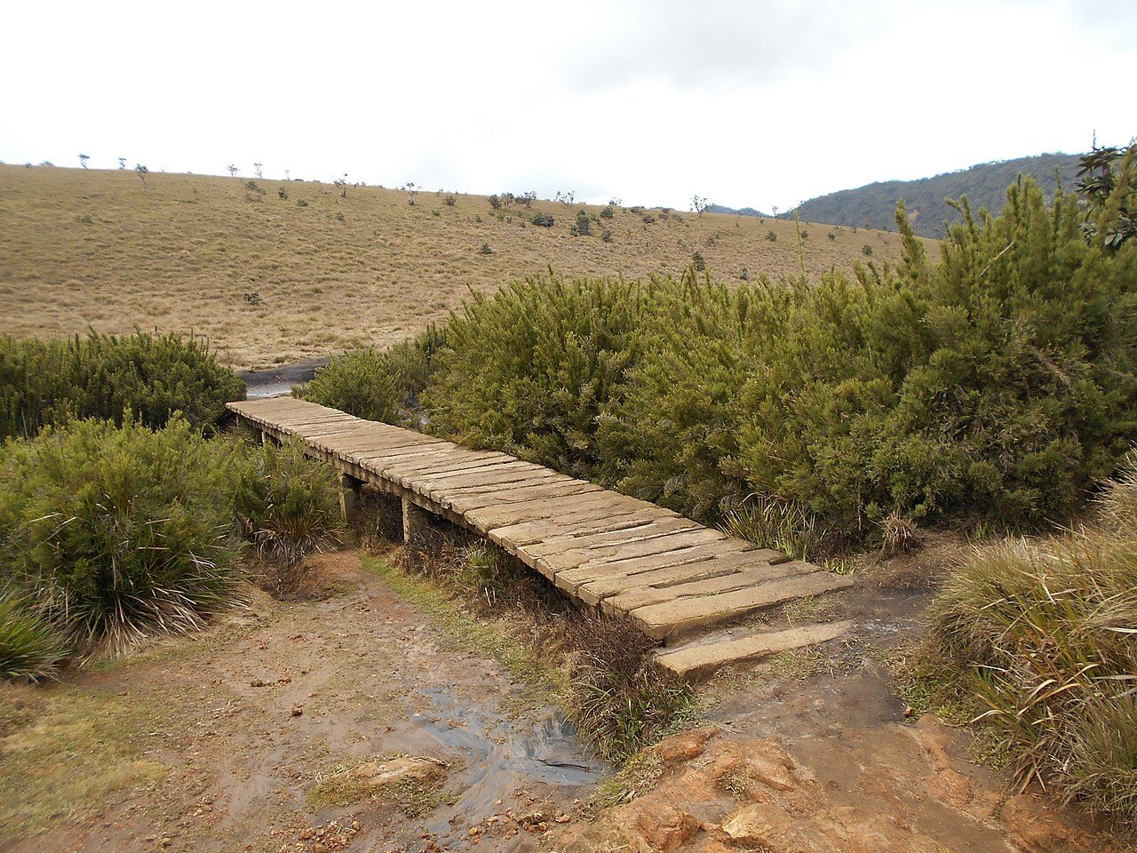 Horton Plains National Park