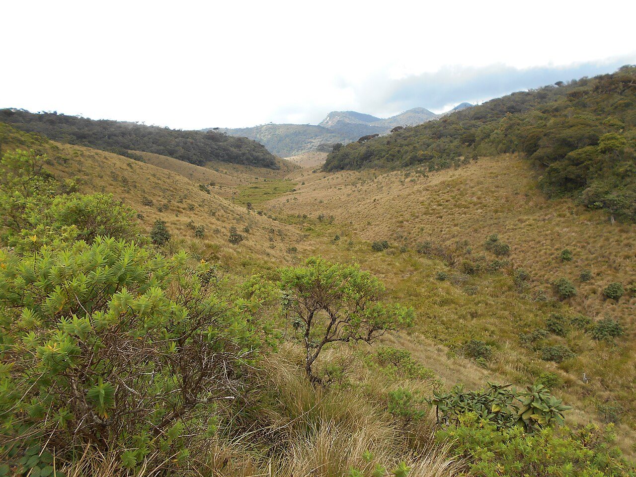 Horton Plains National Park