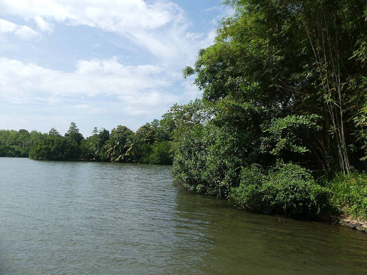 Koggala Lake