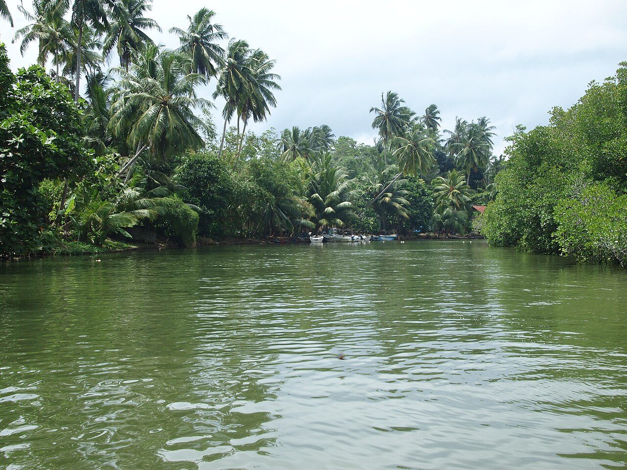 Madu River