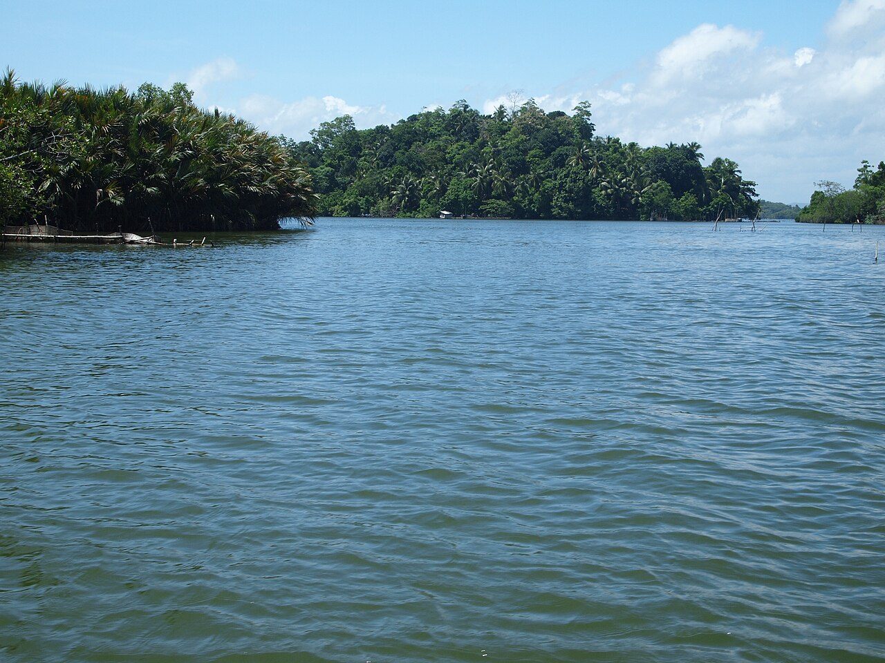 Madu River