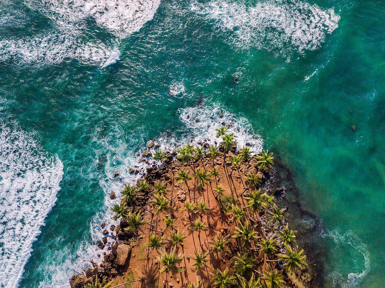 Coconut Tree Hill