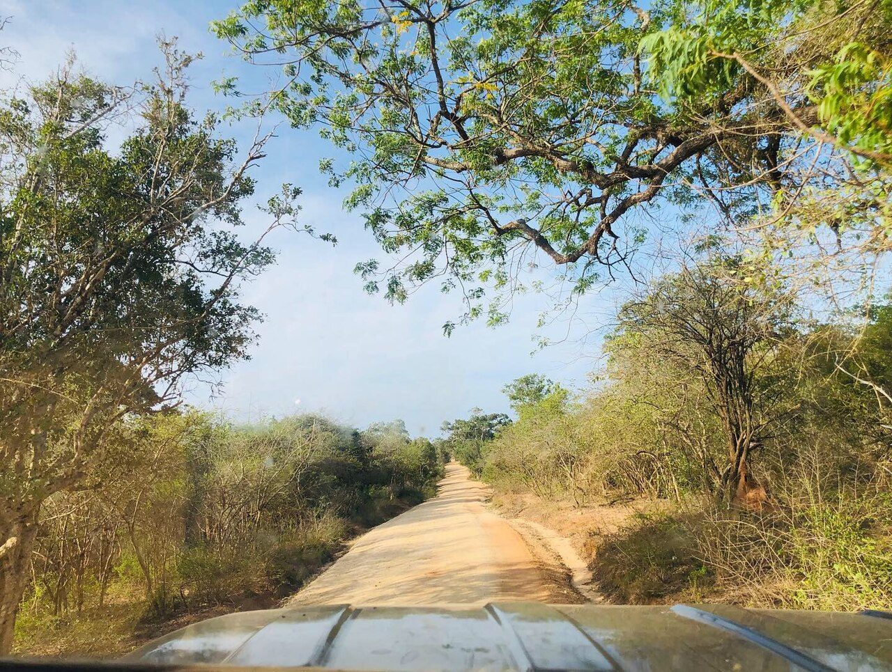 Yala National Park