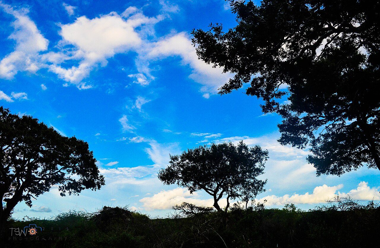 Bundala National Park