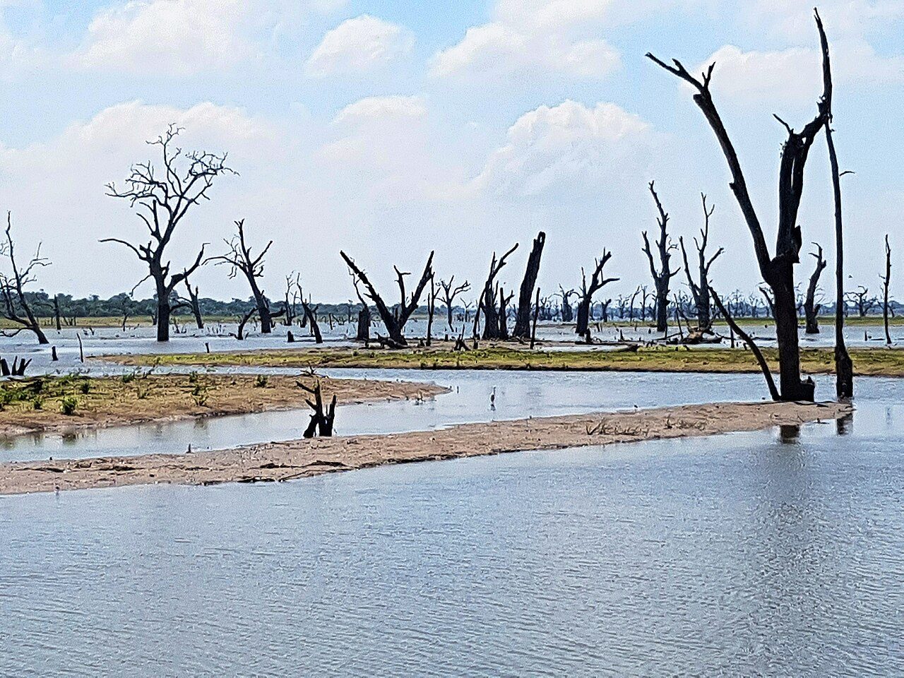 Udawalawe National Park
