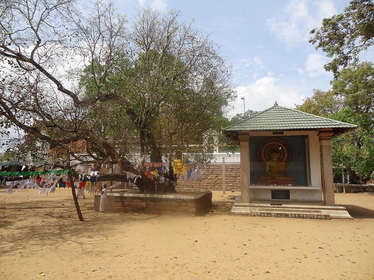 Jaya Sri Maha Bodhi