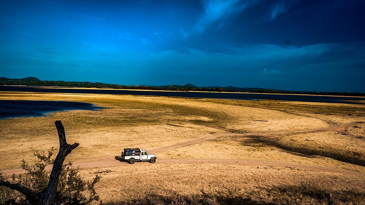 Minneriya National Park