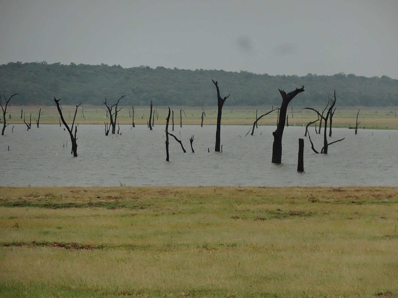 Kaudulla National Park