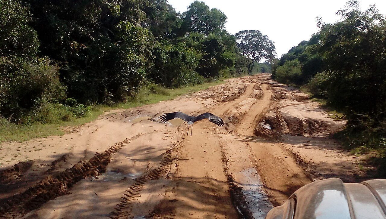 Wilpattu National Park