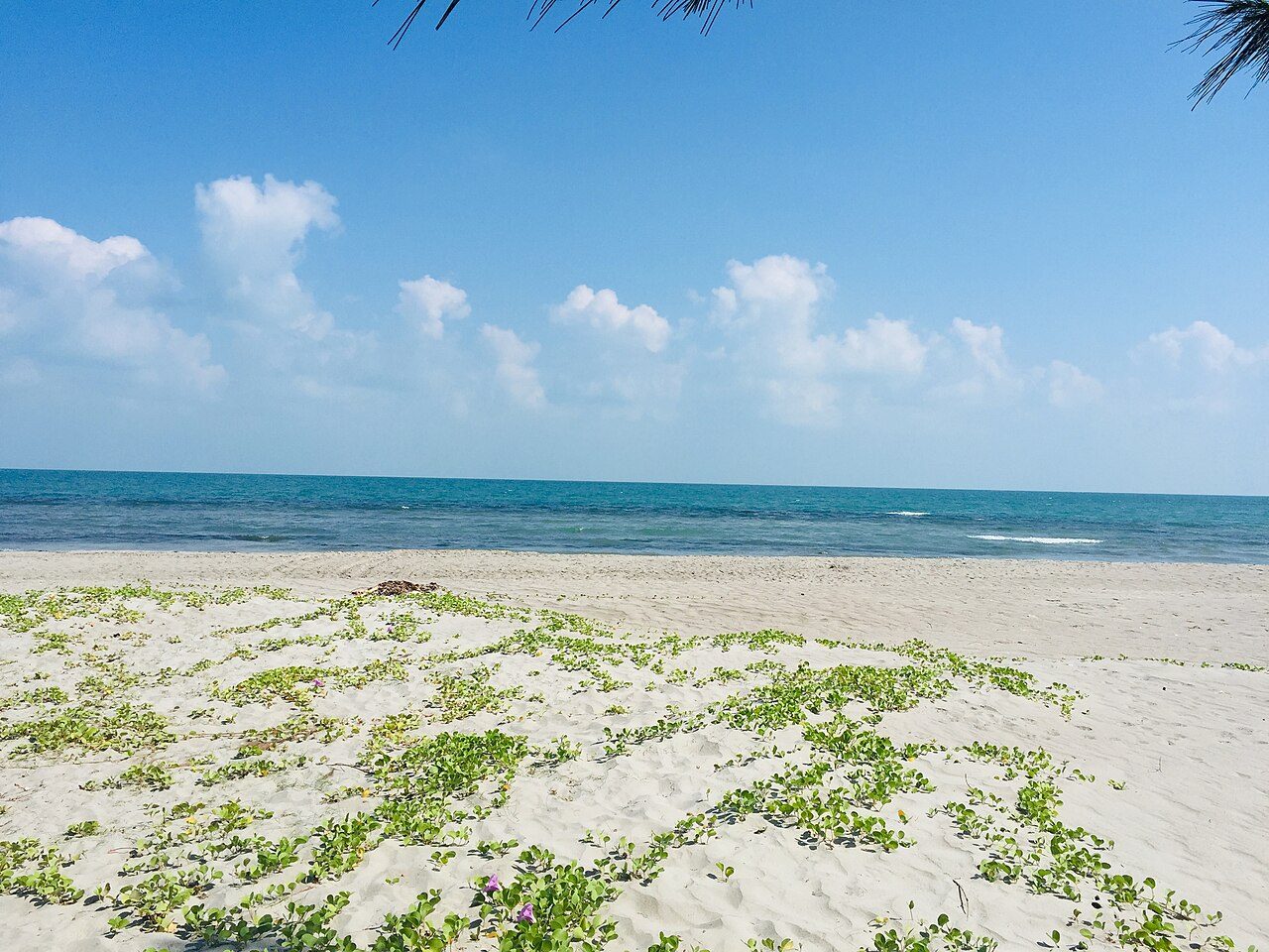 Casuarina Beach