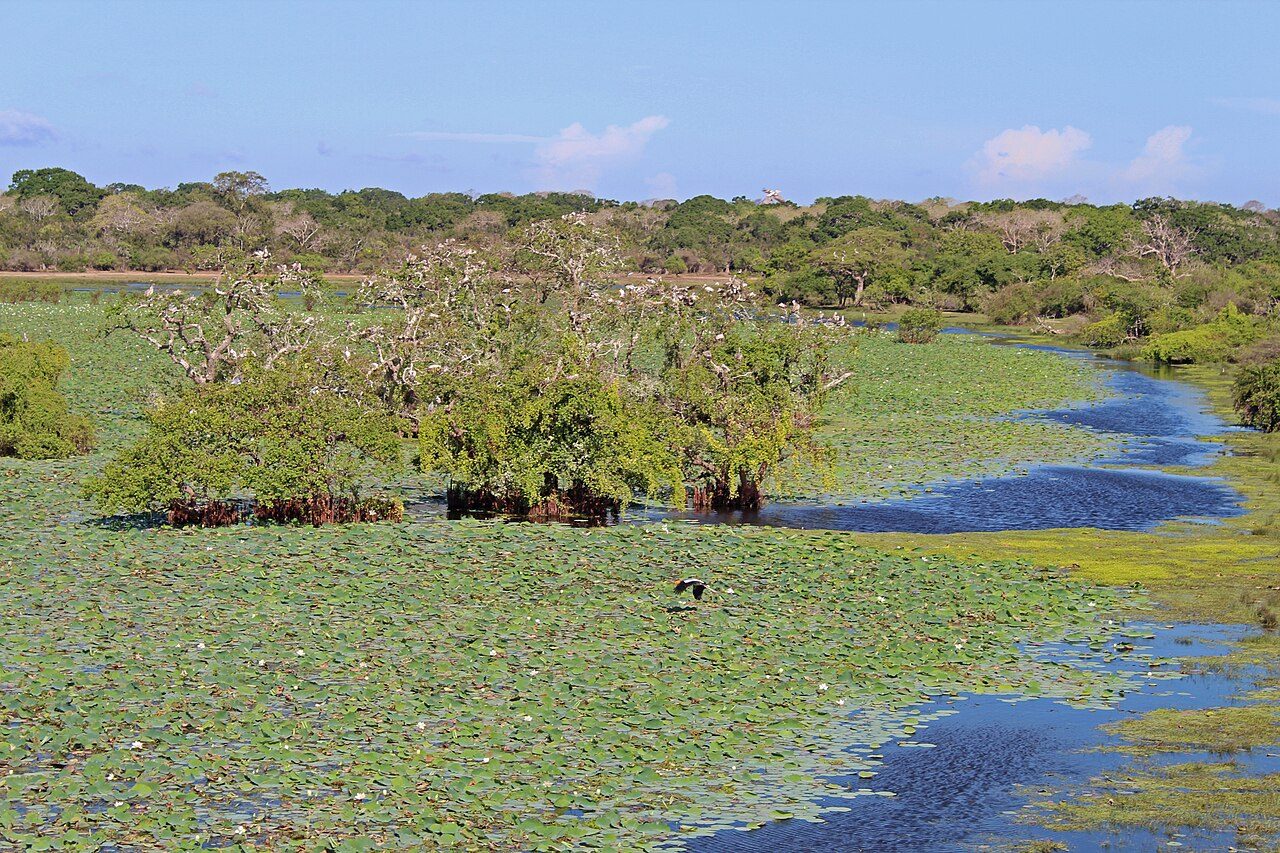 Kumana National Park