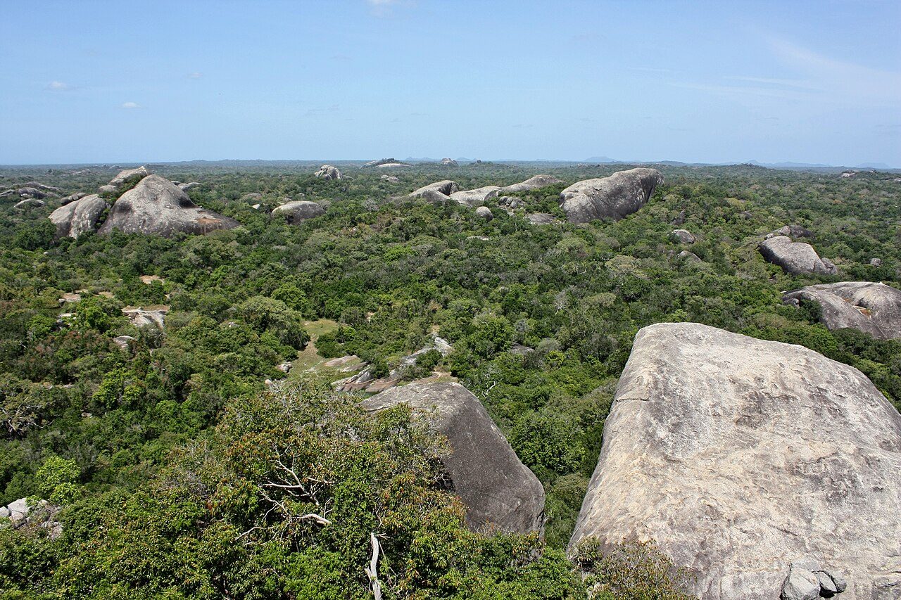 Kudumbigala Monastery