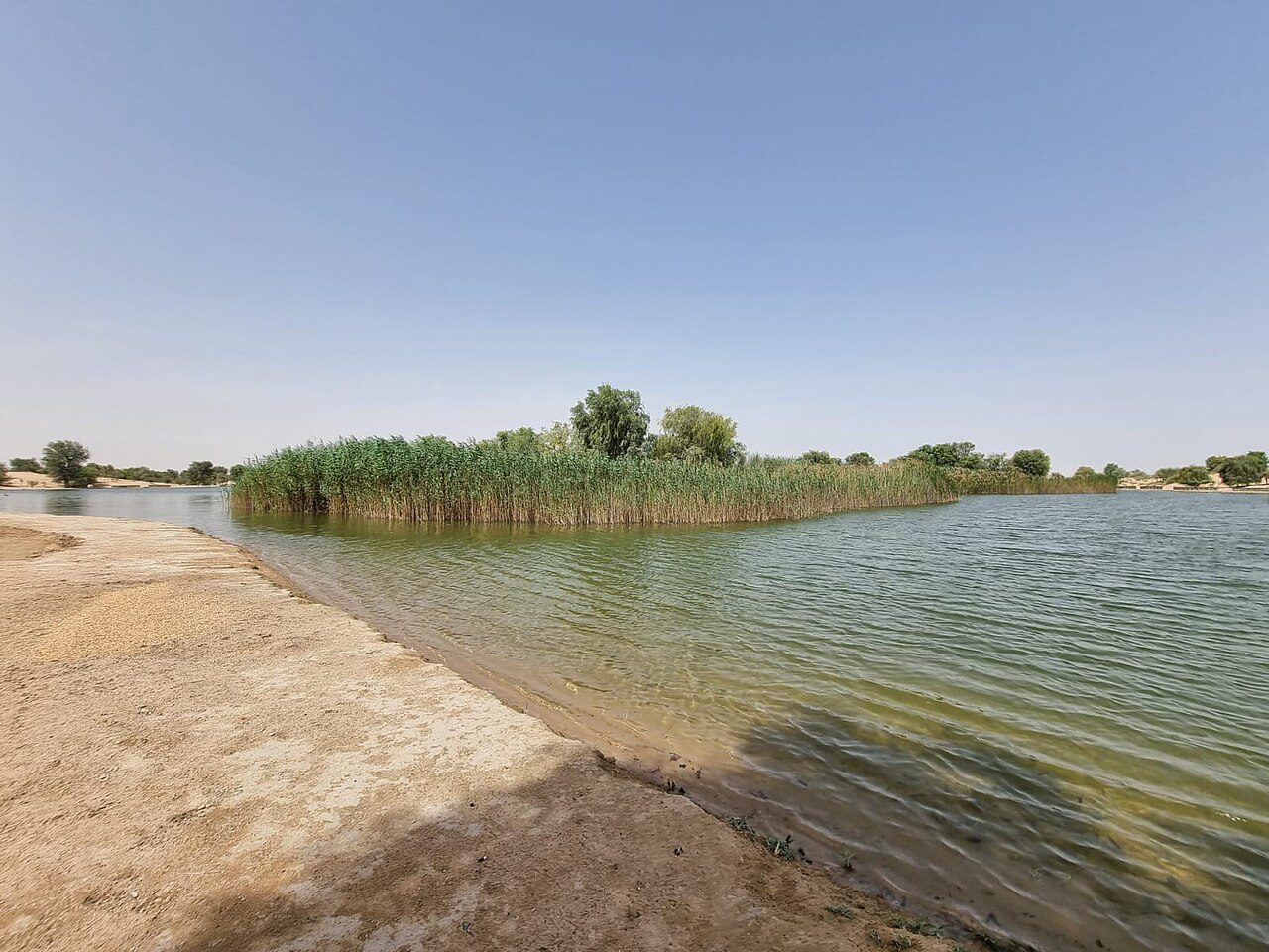 Al Qudra Lakes