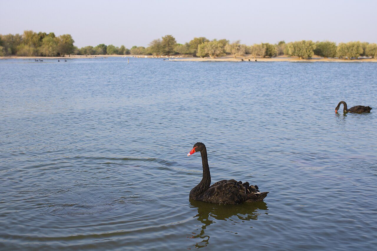 Al Qudra Lakes