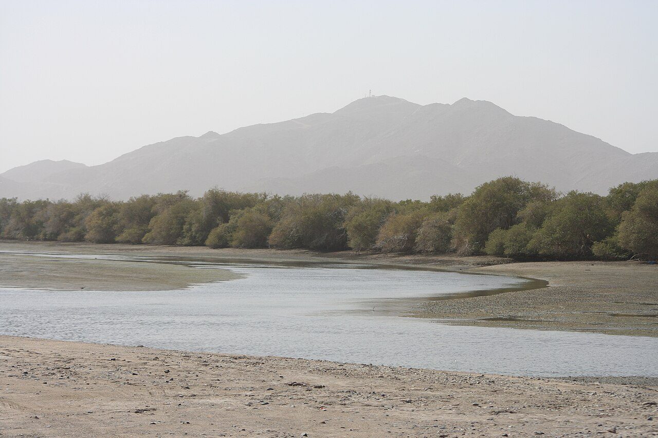 Khor Kalba Mangroves