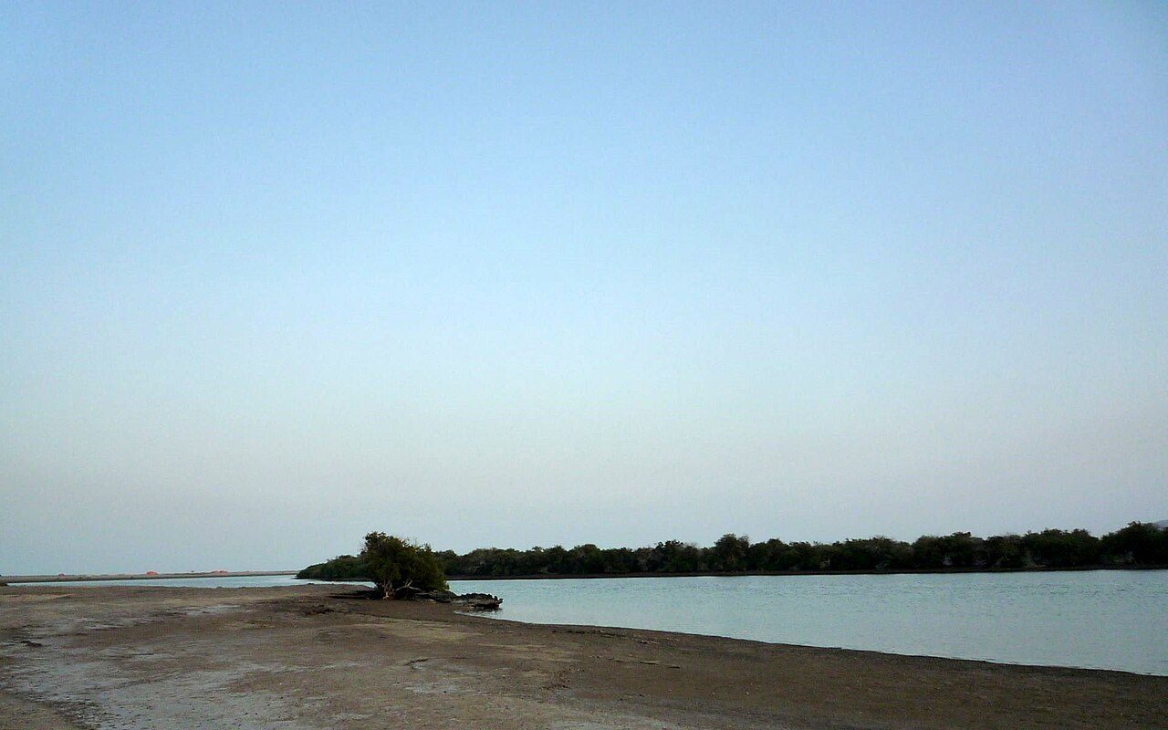 Khor Kalba Mangroves