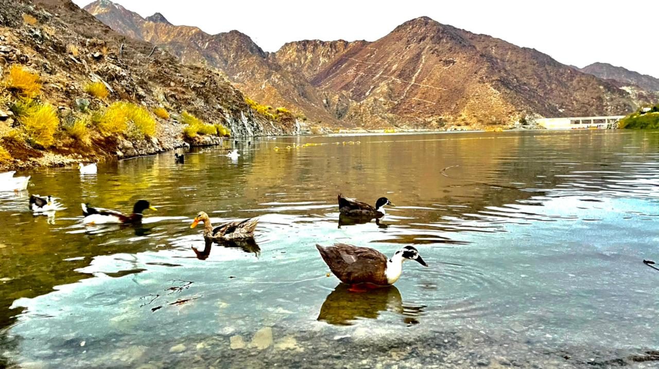 Al Rafisah Dam