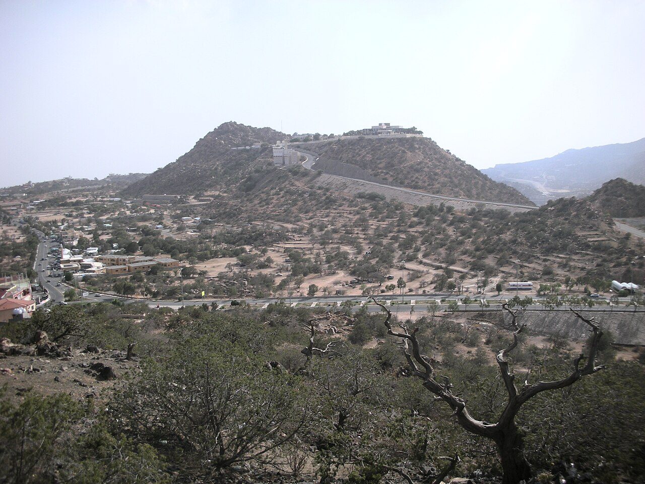 Al Shafa