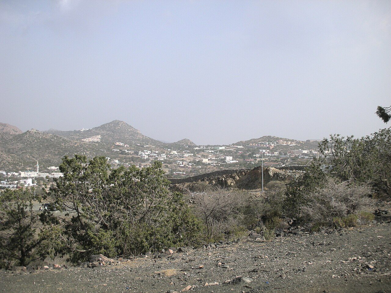 Al Shafa