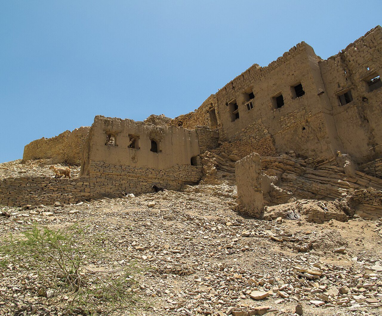 Birkat Al Mouz