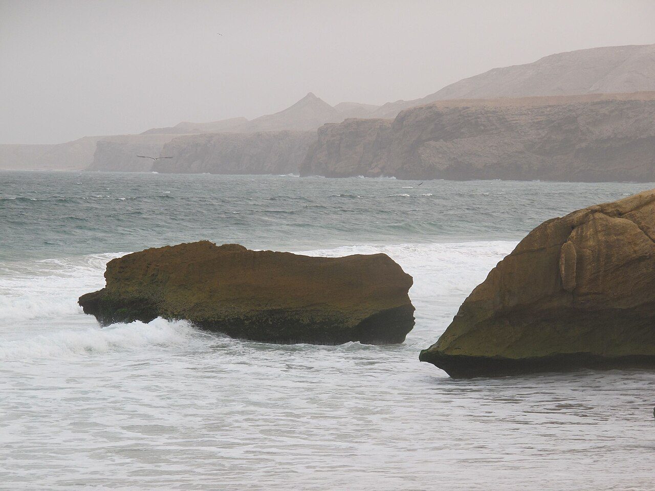 Ras Al Jinz Turtle Reserve