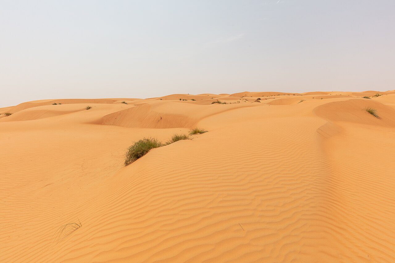 Wahiba Sands
