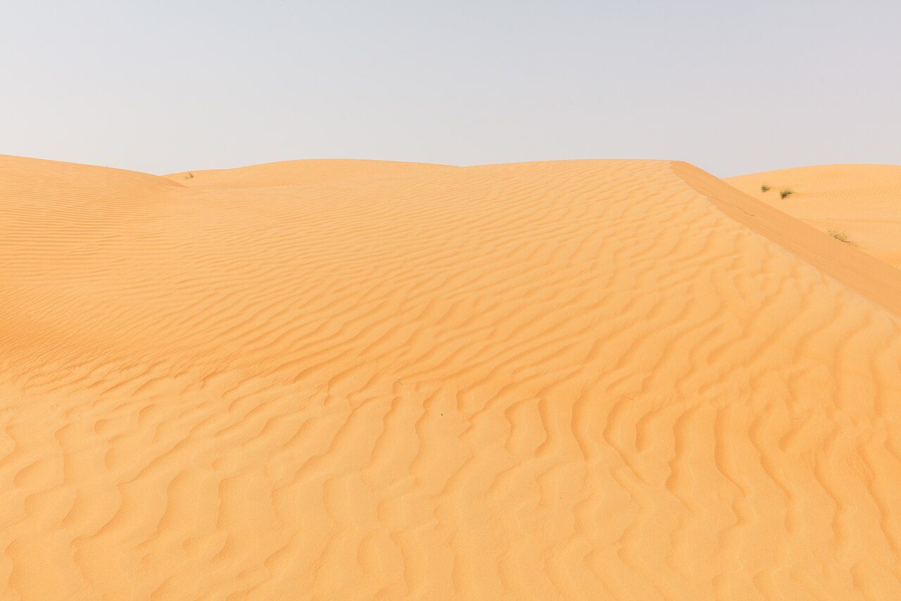 Wahiba Sands