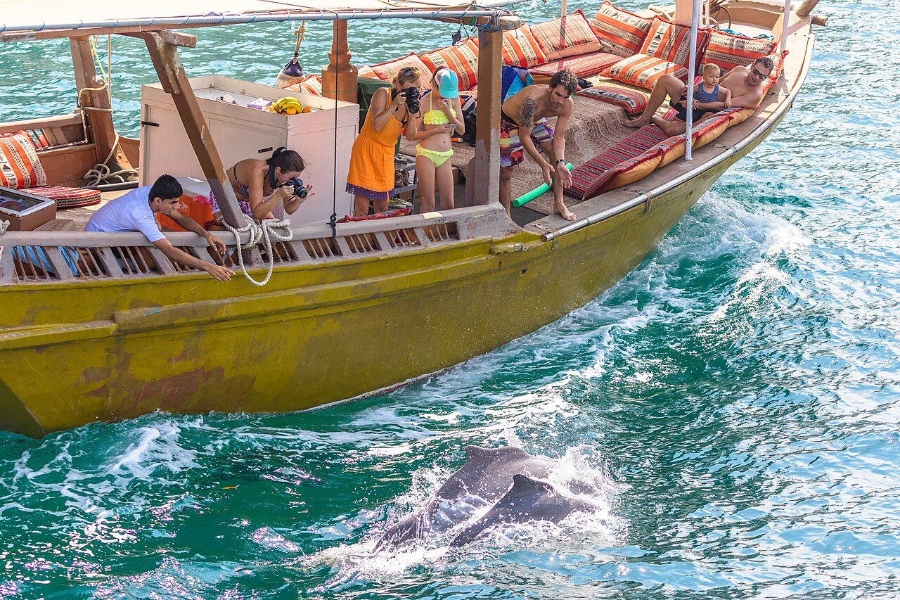 Musandam in 2 Days: Fjords, Dolphins and Mountain Roads
