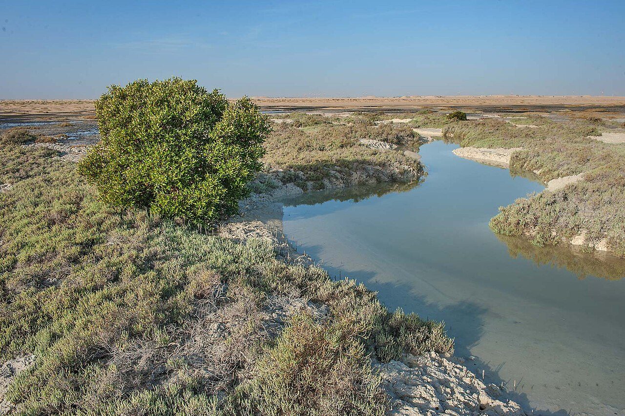 Al Thakira Mangroves