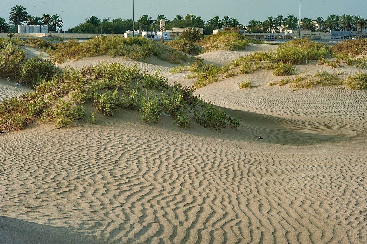 Sealine Beach