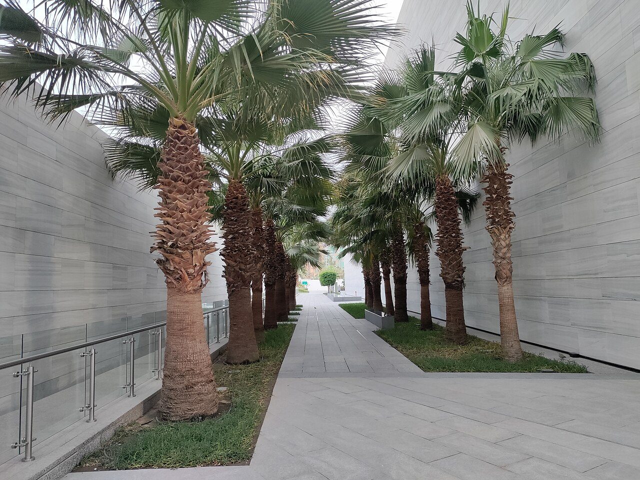 The Scientific Center