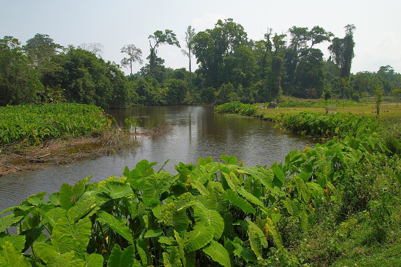 Khao Yai National Park