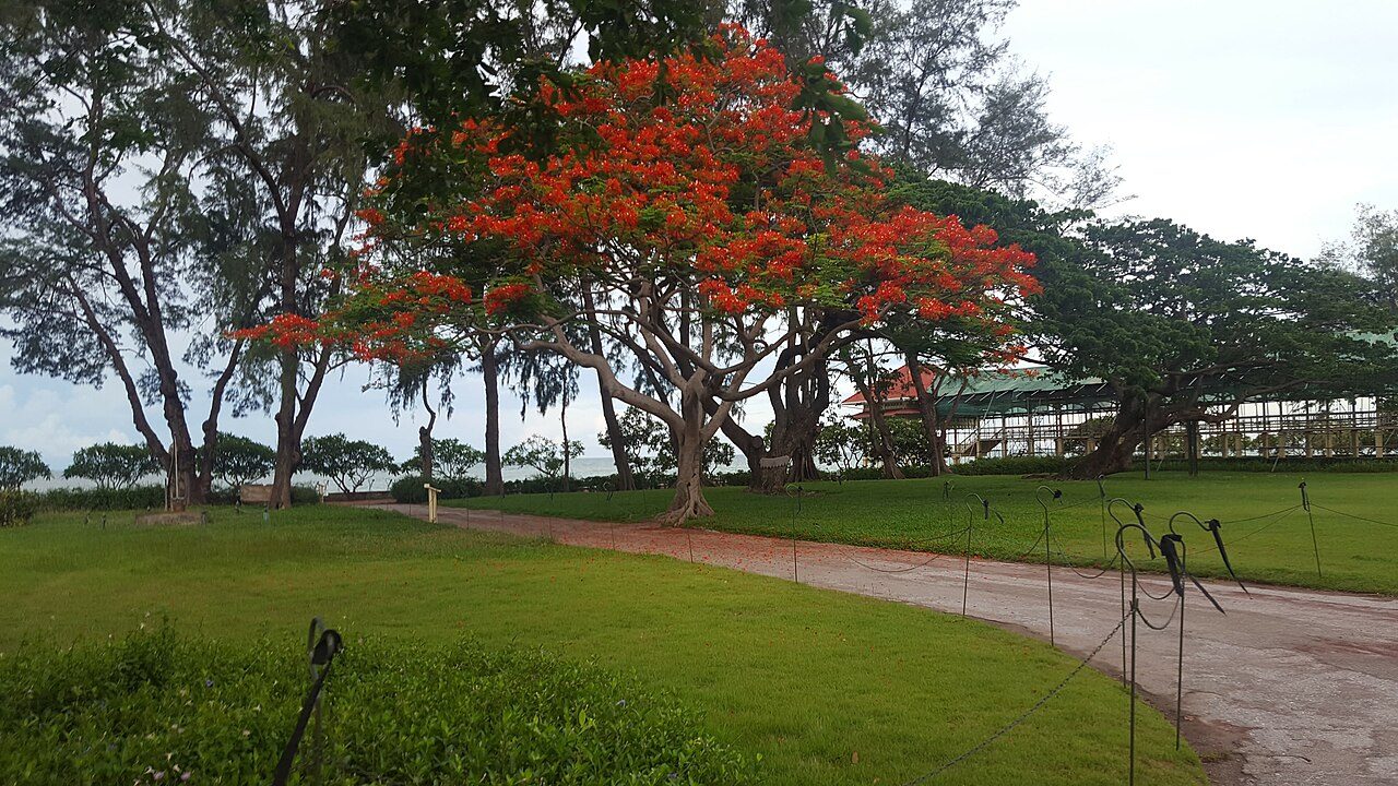 Mrigadayavan Palace