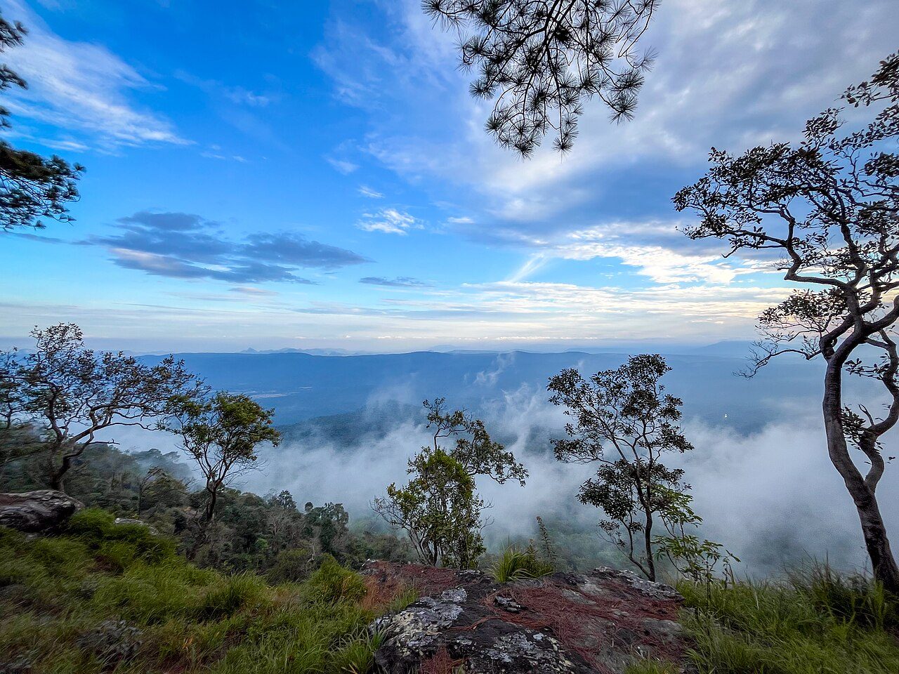 Phu Kradueng National Park