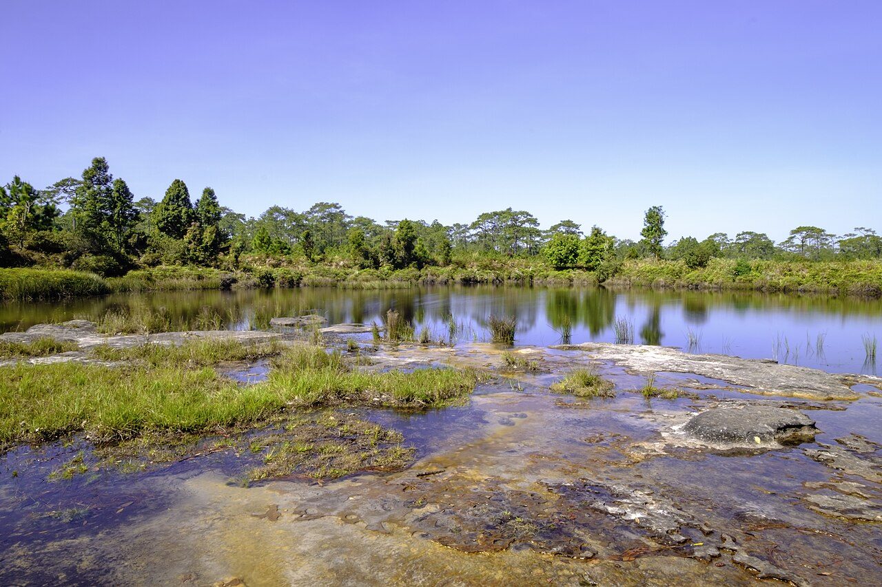 Phu Kradueng National Park