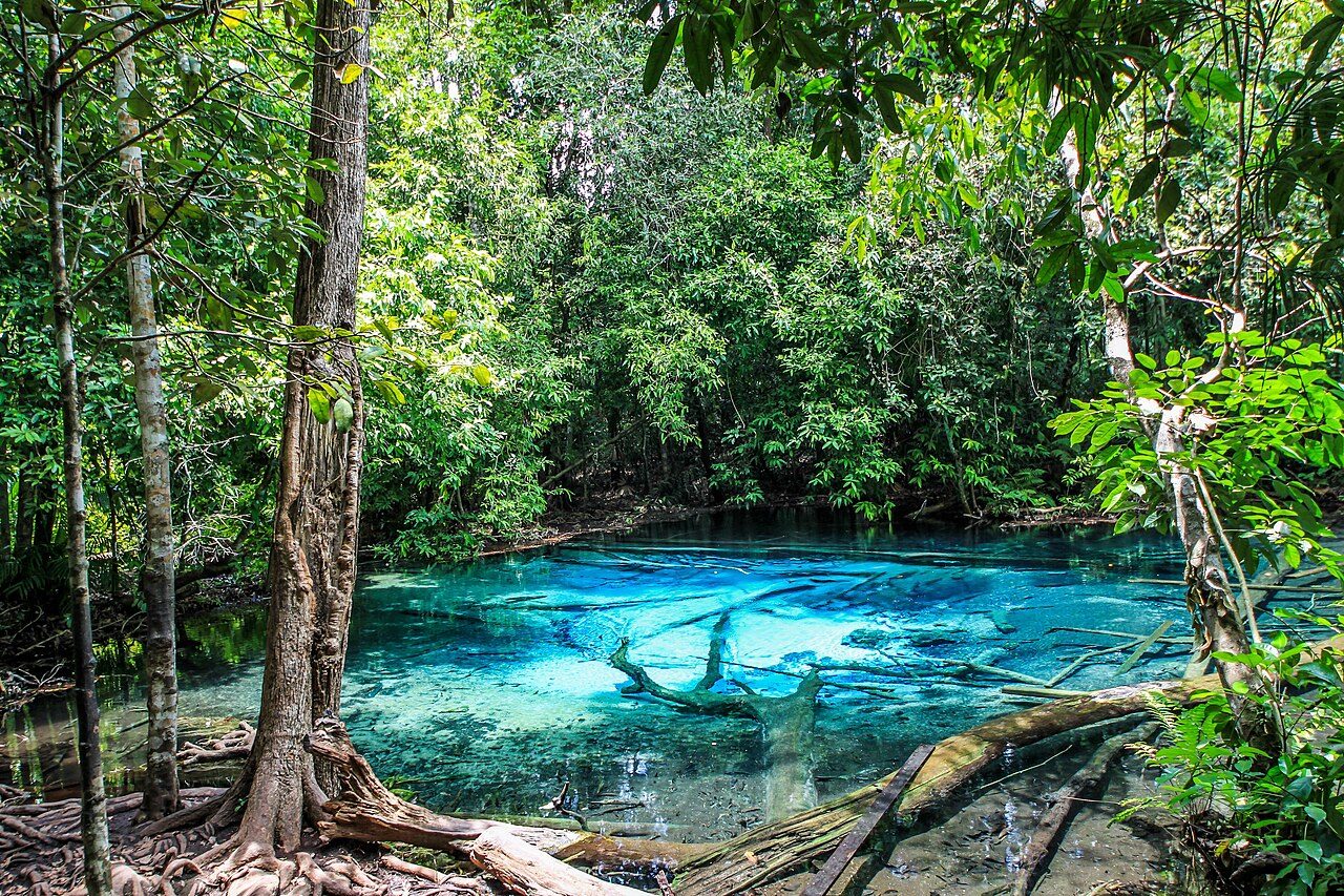 Emerald Pool Krabi