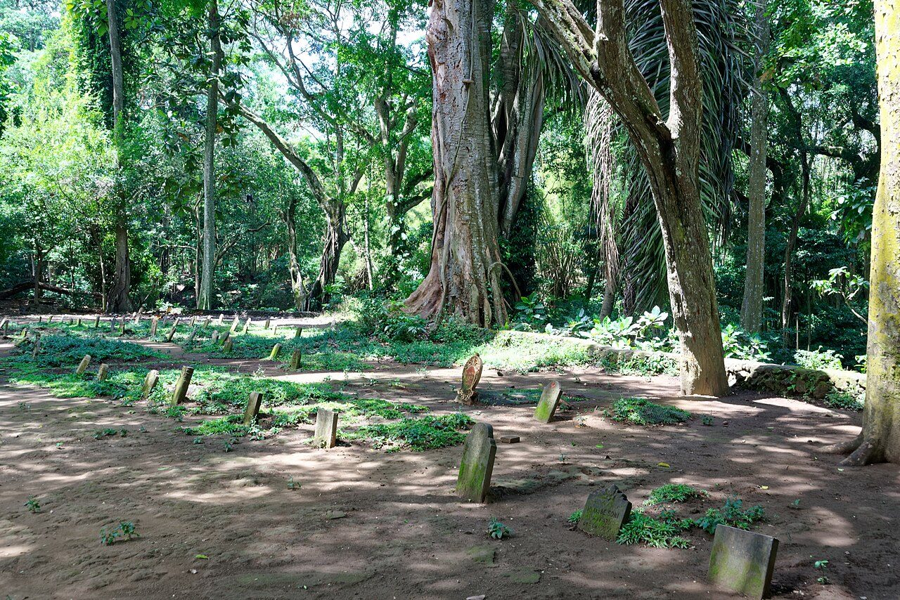Ubud Monkey Forest